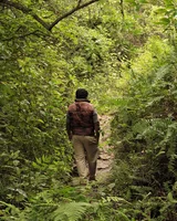 Forest ranger walking through the trail to Netravati peak